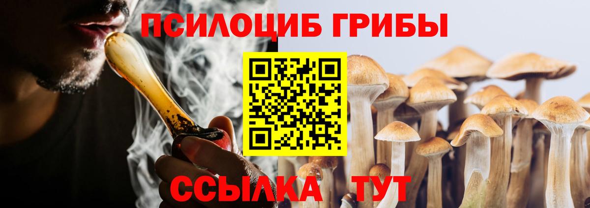 Дмитров  Псилоцибиновые грибы Psilocybe  Псилоцибиновые грибы прущие грибы  Вход с VPN 
